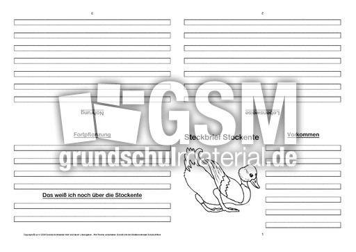 Stockente-Faltbuch-vierseitig-3.pdf